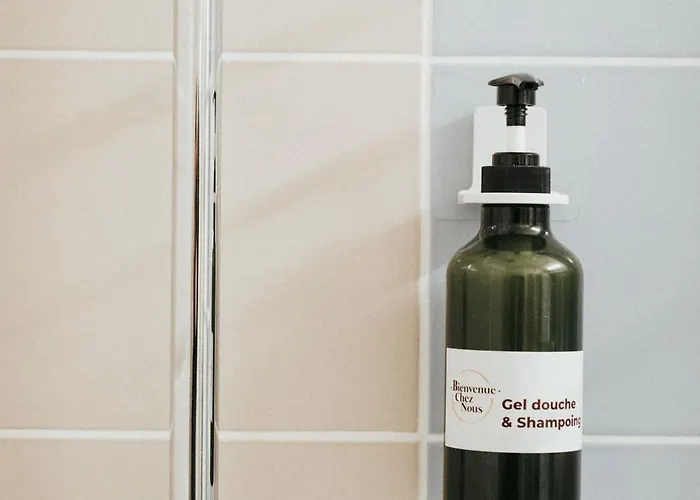 アパート Entre Et Nature - Les Hauts De Avec Garage Gratuit クレルモン・フェラン