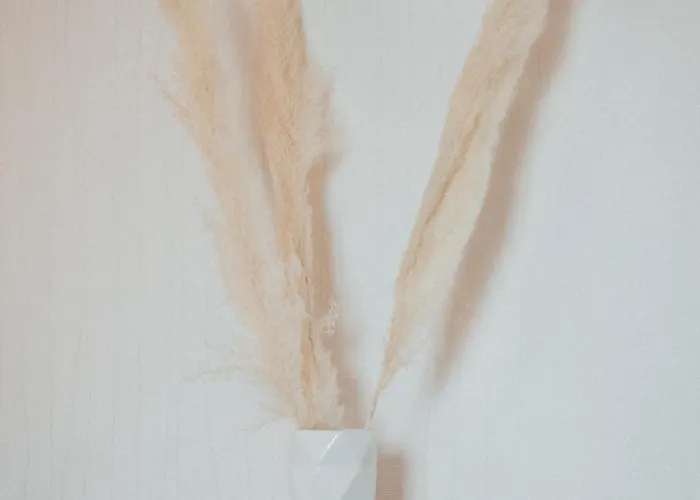 Entre Et Nature - Les Hauts De Avec Garage Gratuit アパート クレルモン・フェラン